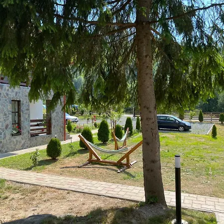 Pensiunea Pietrosul Rodnei Farm stay Moisei