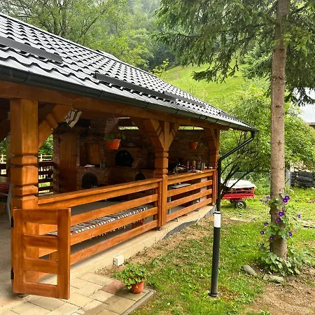 Pensiunea Pietrosul Rodnei Farm stay *