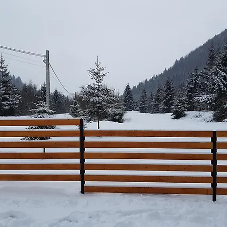 Pensiunea Pietrosul Rodnei *