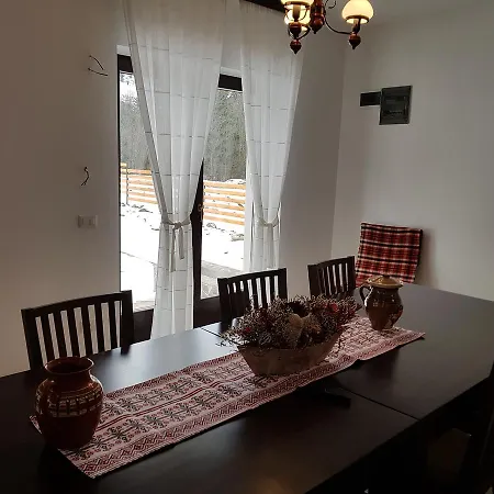 Pensiunea Pietrosul Rodnei Farm stay Moisei