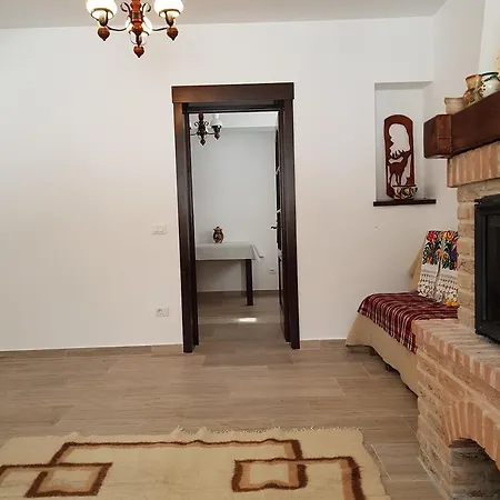 Farm stay Pensiunea Pietrosul Rodnei *
