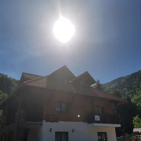 Pensiunea Pietrosul Rodnei *