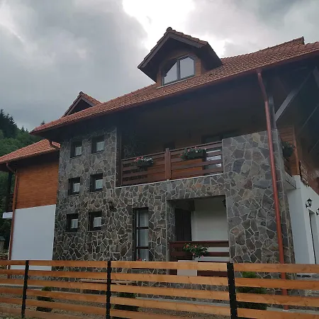 Pensiunea Pietrosul Rodnei Farm stay *