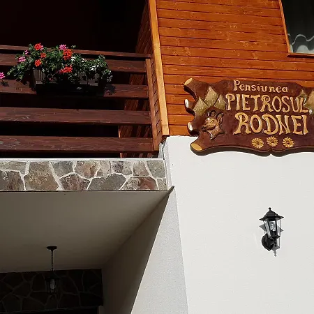 Farm stay Pensiunea Pietrosul Rodnei *