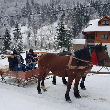 Pensiunea Pietrosul Rodnei Farm stay Moisei