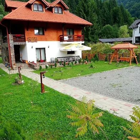 Pensiunea Pietrosul Rodnei Farm stay Moisei